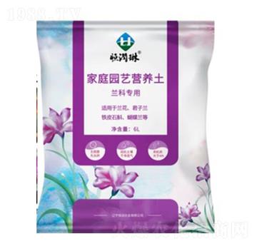 �m�ƌ�(zhu��n)�ü�ͥ�@ˇ�I(y��ng)�B(y��ng)��-�㝙(r��n)�r(n��ng)�I(y��)