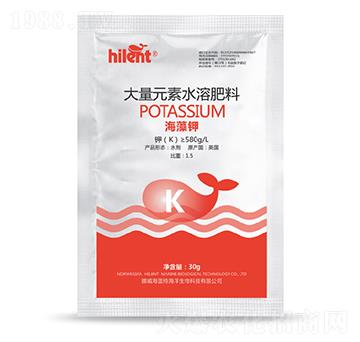 30g�����-���{��