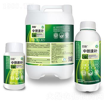 ��΢���a�M��-���}