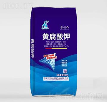 �S�����-�S�T���r(n��ng)