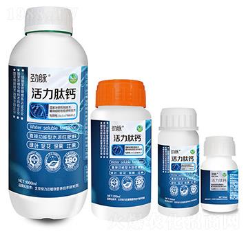 �������}-���}