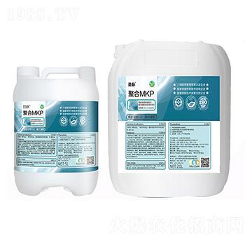 �ۺ�MKP-���}