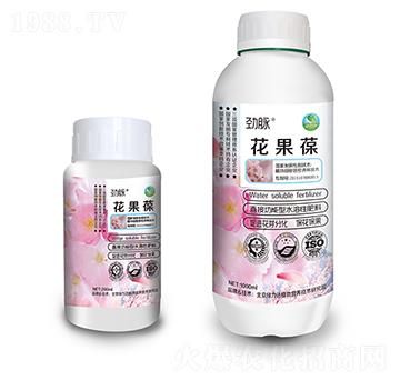 ������-���}