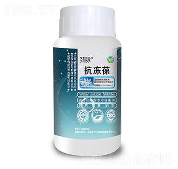 ������-���}