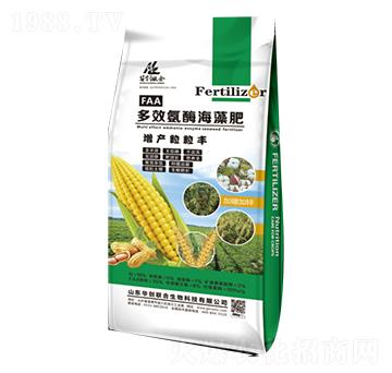 ��Ч��ø�����-���a�����S-�A��(chu��ng)(li��n)��