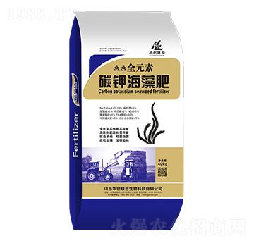 ̼⛺����-�A��(chu��ng)(li��n)��