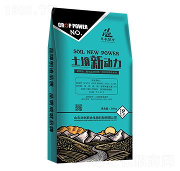 ������(d��ng)��-�A��(chu��ng)(li��n)��