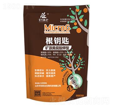 ��耳ף��VԴ�S������ͣ�-�A��(chu��ng)(li��n)��