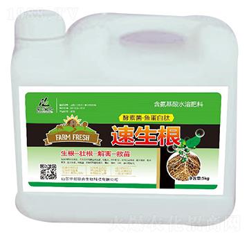 ������-�A��(chu��ng)(li��n)��