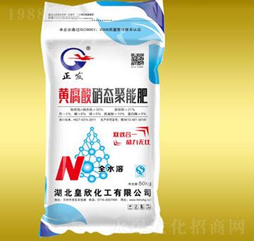 �S�������B(t��i)������ѿ��-����