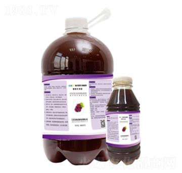 ���ь�(zhu��n)���͏�(f��)��΢�������-�ּ{����