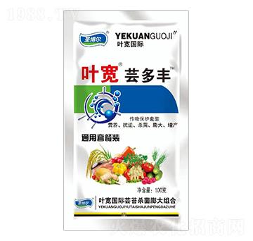 �~���|���S���ﱣ�o(h��)���b-ʥ��������