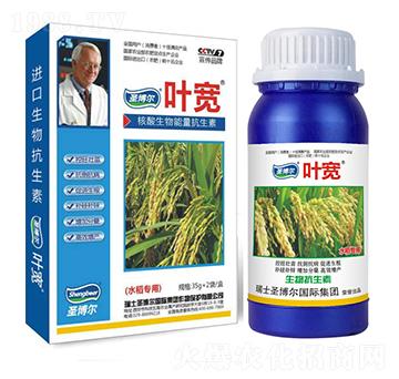 ˮ�������~���-��������ø�T����-�~��-ʥ��������