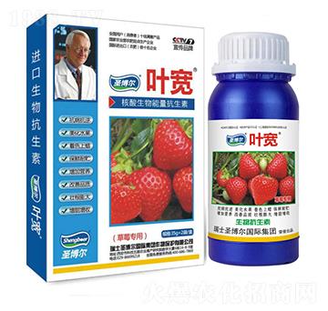 ��ݮ�����~���-��������ø�T����-�~��-ʥ��������