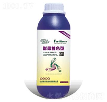 �����ɫ��-�������