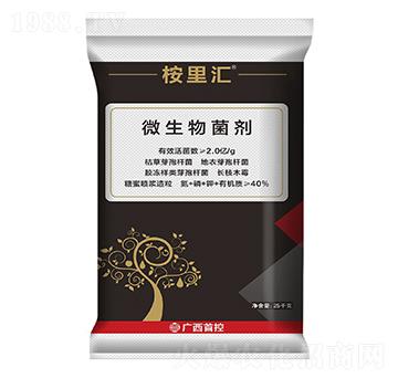 ΢�������-����R-�׿�