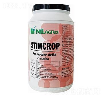 ���������-���h