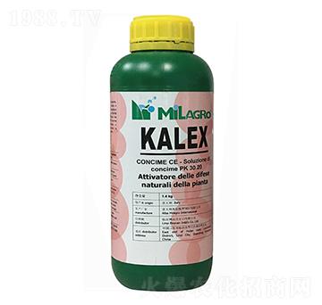 �������-���h