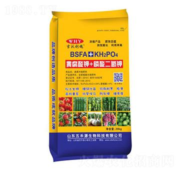 �S�����+��������-���Դ����