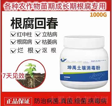 ��������������-�����