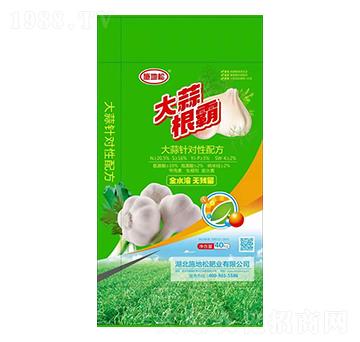 �������-ʩ����