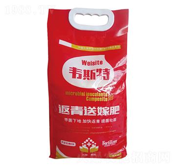 �w���ͼ޷�-�f˹��-���r�I(y��)