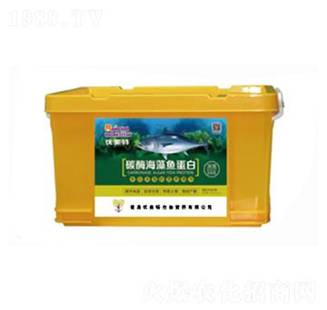 ø�⺣���~(y��)����-��(y��u)����