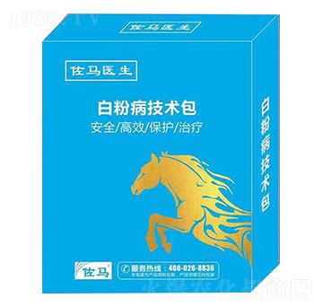 �׷۲����g(sh��)��-���R�t(y��)��-嫪{