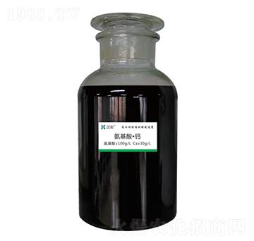 �����ᡤ�}-�h�����B(t��i)