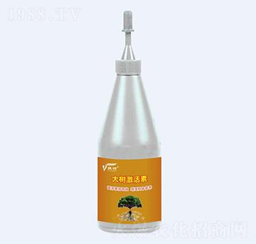 ���(sh��)������-�ݠ��S����