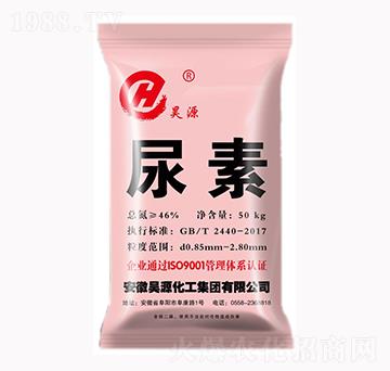 ����-�Դ����