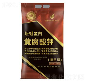 ��򾵰���S�����-����ԥ��