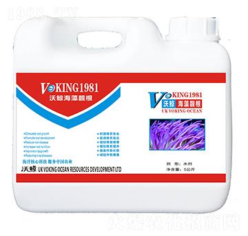 �����n��-���L