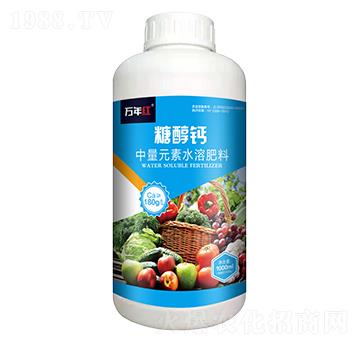 1000ml�Ǵ��}-�f��t-�Z�\��