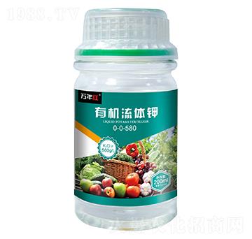 �ЙC(j��)���w�-�f(w��n)��t-�Z�\(ch��ng)��