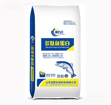 �����~����-������-�˕N����