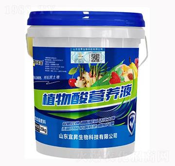 ֲ����I(y��ng)�B(y��ng)Һ-�˕N����