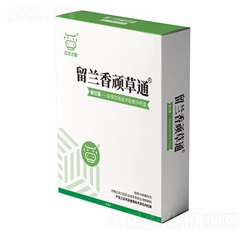 ���m���B��ͨ-���A����