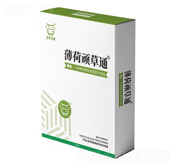 �����B��ͨ-���A����