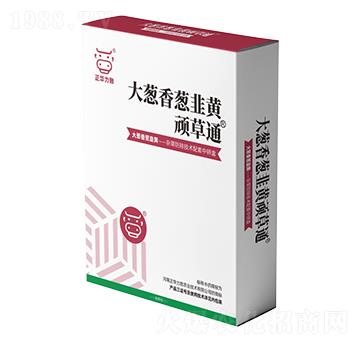 ���[�����[�����S�B��ͨ-���A����