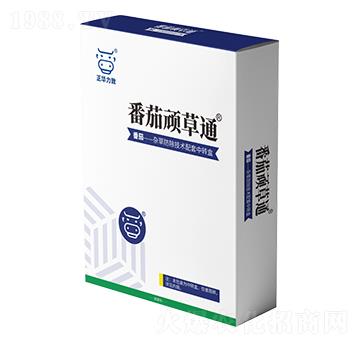 �����B��ͨ-���A����