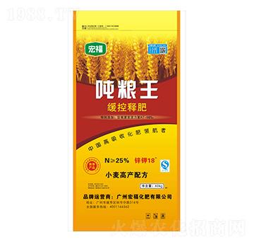 ����ጷ�-���Z��-�������