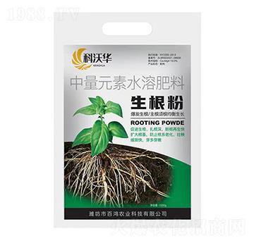 ������-�����r(n��ng)�I(y��)