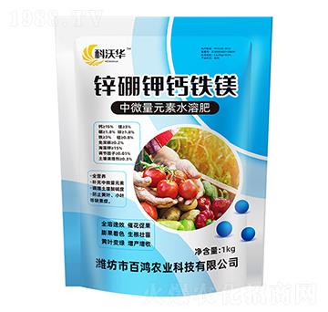 �\����}�F�V-�����r(n��ng)�I(y��)