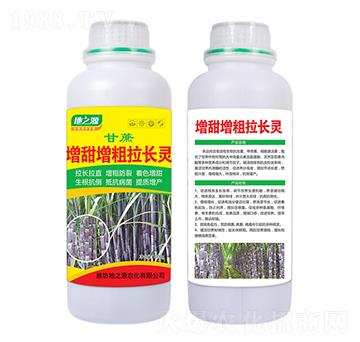 ���������������L��-�����r(n��ng)�I(y��)