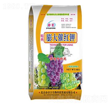 ���߼t�-�����ʘI(y��)