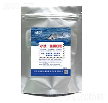 С���~���׷�-�؏ͽ�