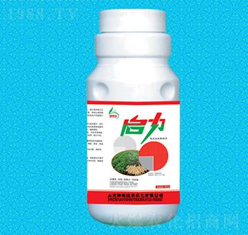 �����������÷�-���S�r(n��ng)��