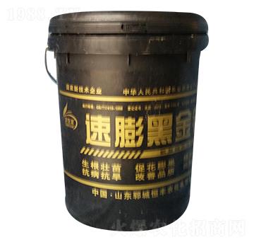 ����ڽ��-���S�r(n��ng)��