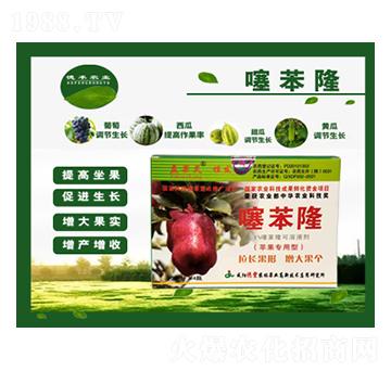 �O�������籽¡-���S